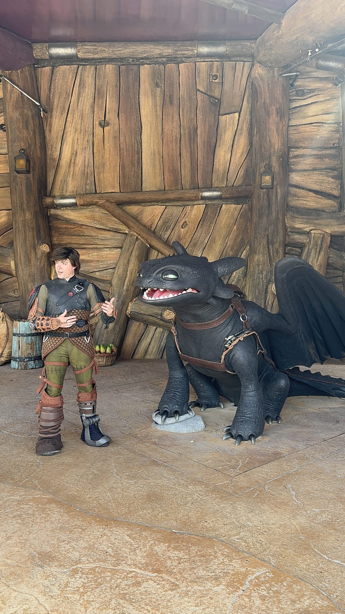 How to Train Your Dragon Isle of Berk en Epic Universe
